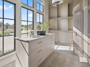 window with walk in closet design